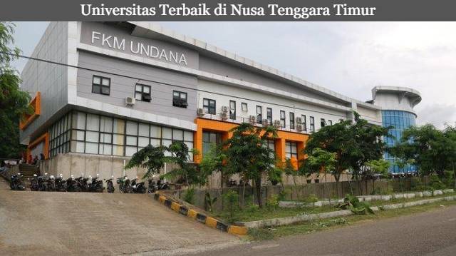 5 Rekomendasi Universitas Terbaik di Nusa Tenggara Timur