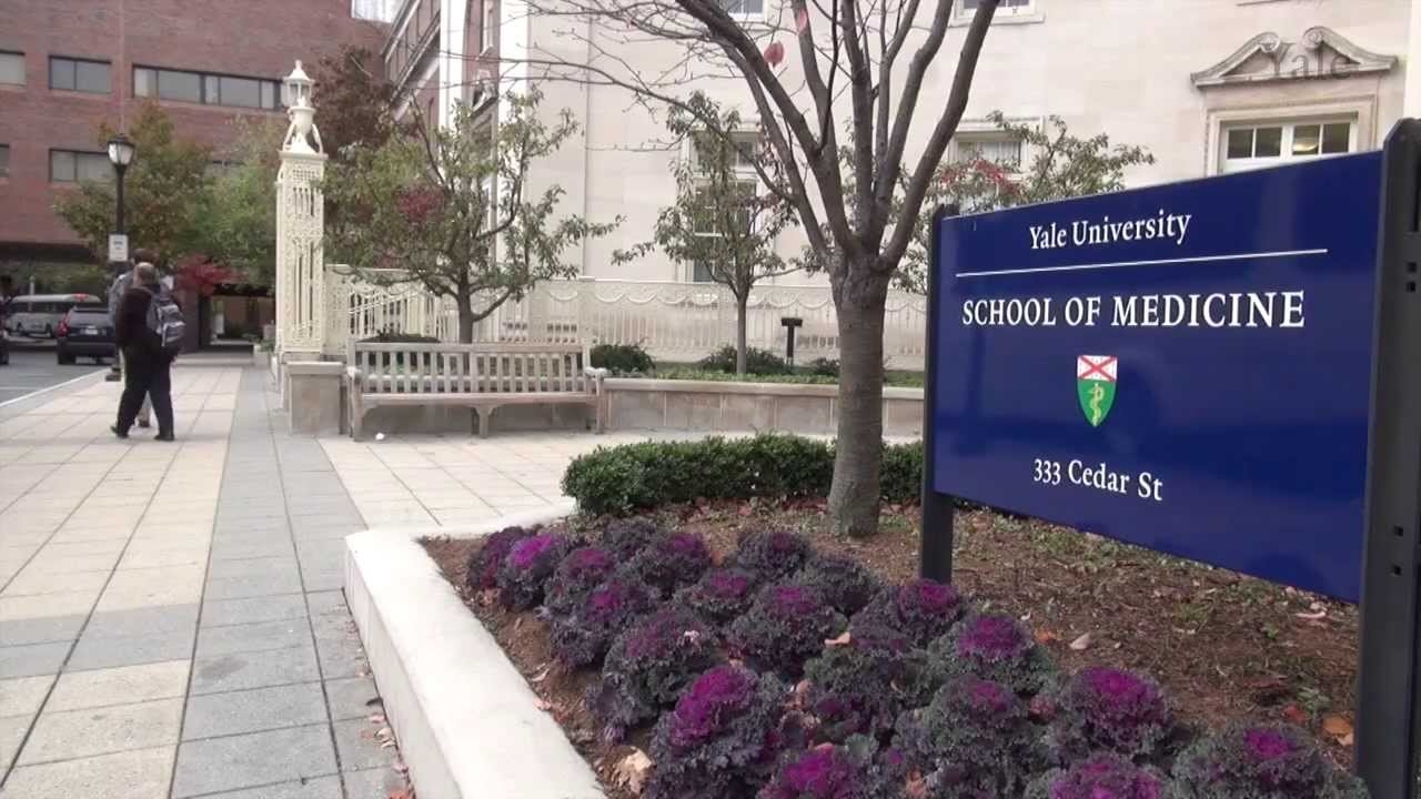 7 Pilihan Negara Yang Bagus Untuk Kuliah Kedokteran